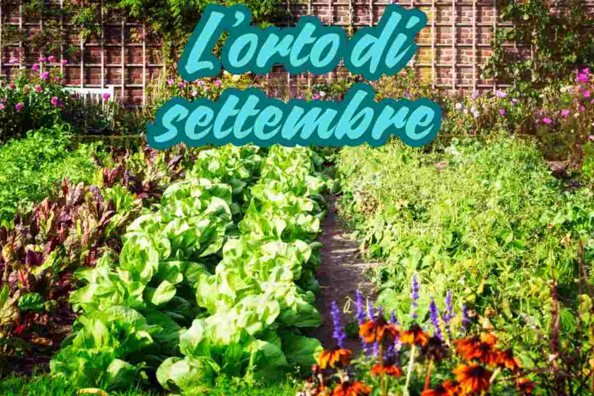 orto settembre