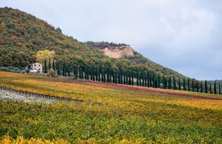 autunno idee di viaggio