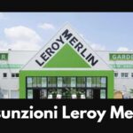 leroy merlin assume