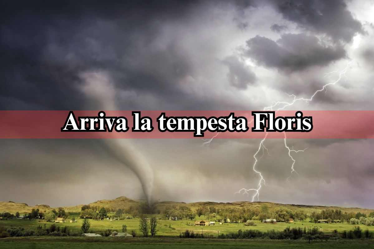 tempesta floris italia